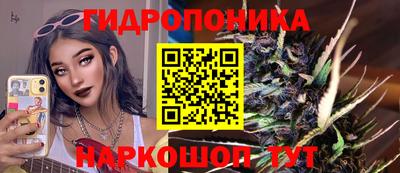 Альфа ПВП Будённовск