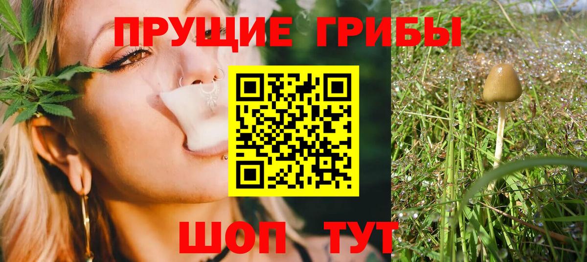 Галлюциногенные грибы GOLDEN TEACHER  Галлюциногенные грибы мухоморы  Омск  Вход с VPN 
